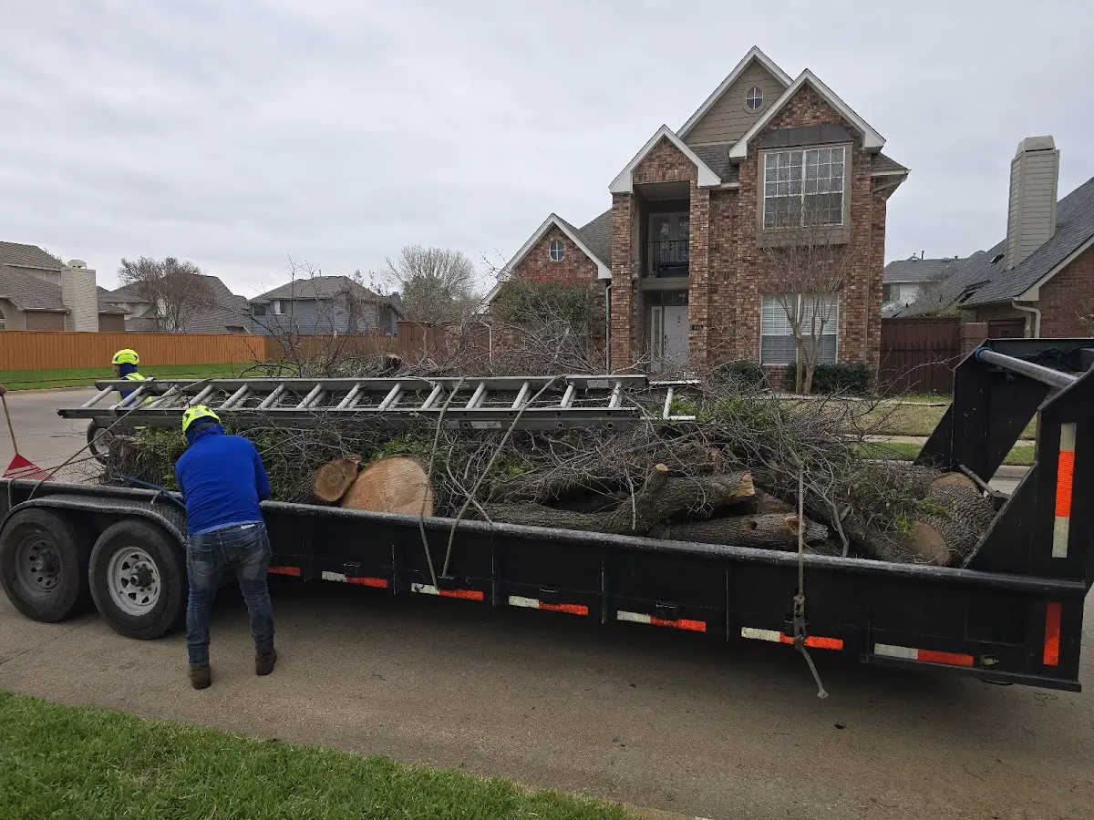Expert Lot Clearing with proper safety equipment in Langston